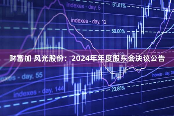财富加 风光股份：2024年年度股东会决议公告