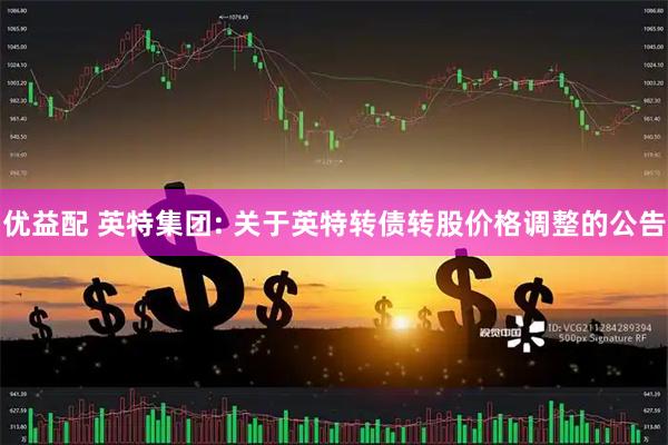 优益配 英特集团: 关于英特转债转股价格调整的公告