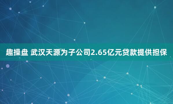 趣操盘 武汉天源为子公司2.65亿元贷款提供担保