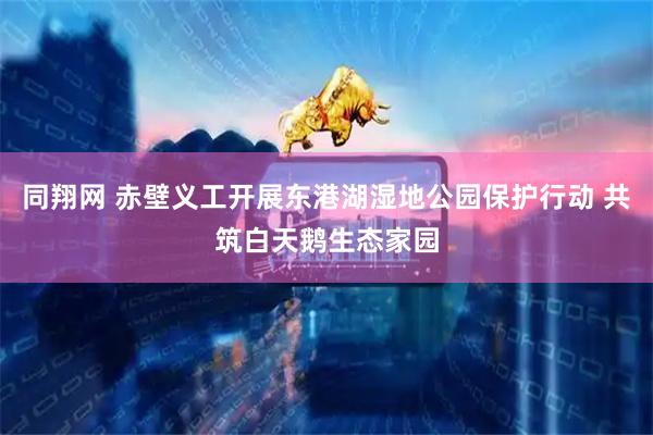 同翔网 赤壁义工开展东港湖湿地公园保护行动 共筑白天鹅生态家园